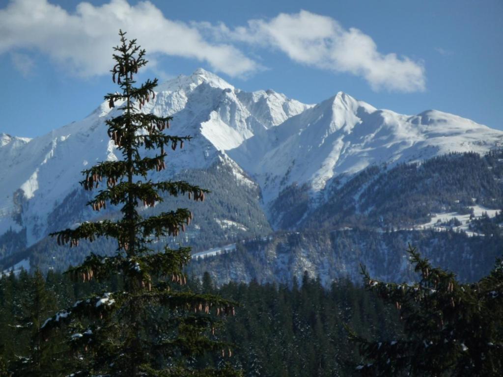 Moutain View Apartment Laax Bagian luar foto